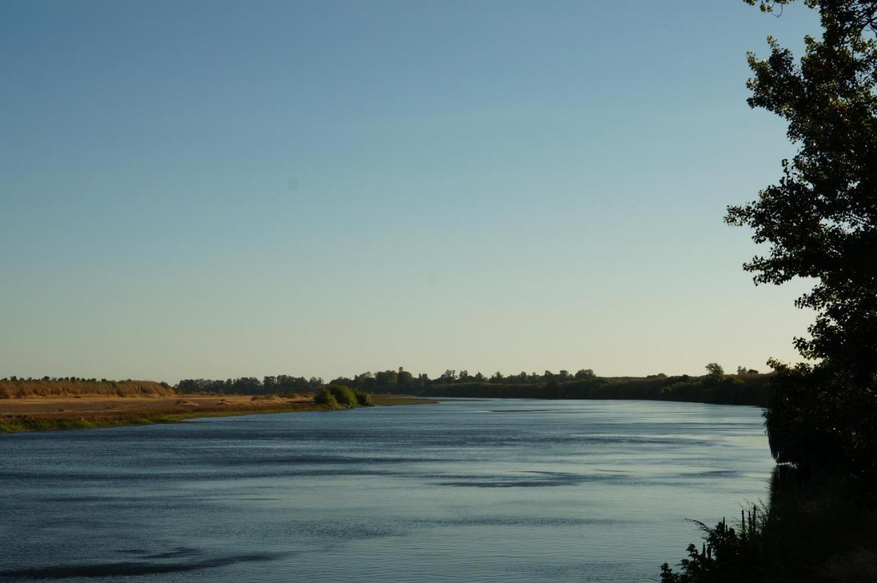 Barquinha River House Вила-Нова-да-Баркинья Экстерьер фото